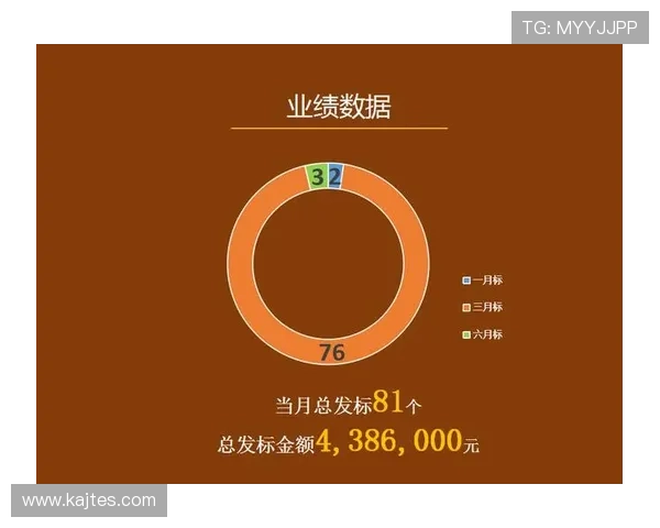 乐投控股有限公司:行业政策变化对公司运营的影响及应对措施
